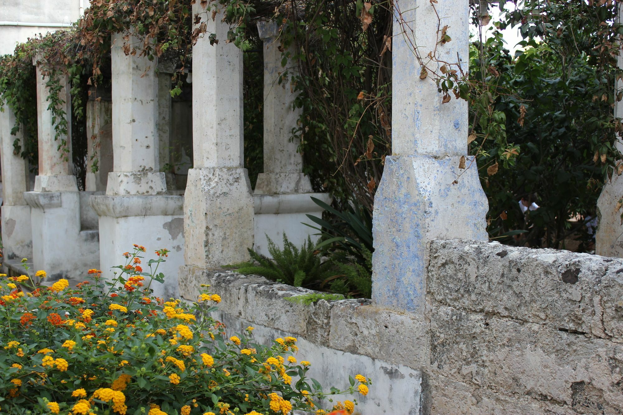 Masseria Pagani Nardo Ngoại thất bức ảnh