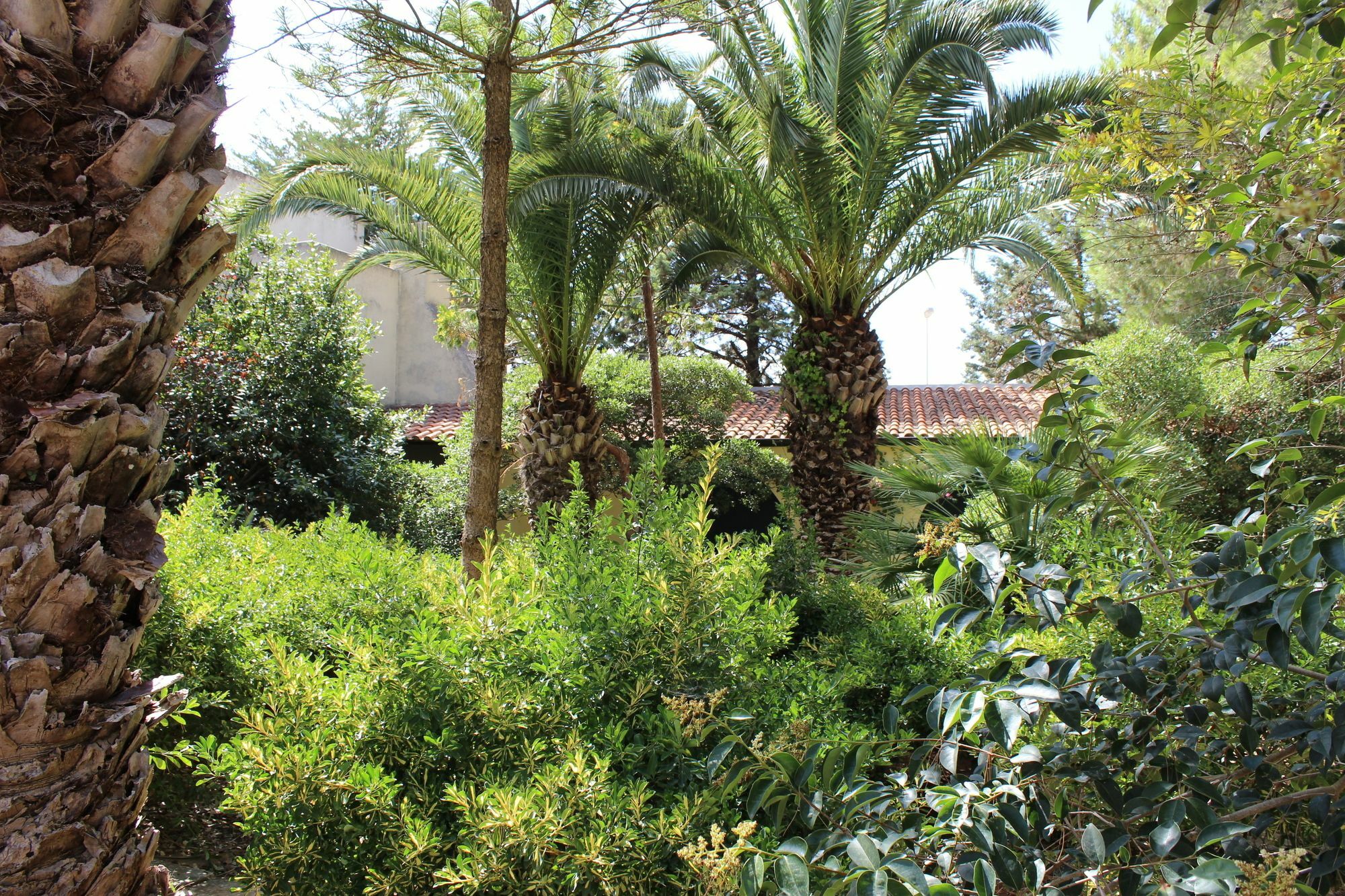 Masseria Pagani Nardo Ngoại thất bức ảnh